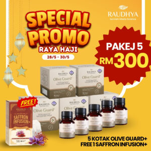 PROMO RAYA HAJI